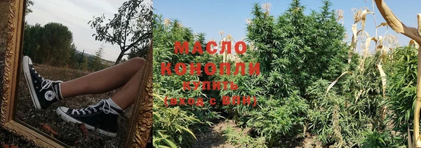 гидра Надым