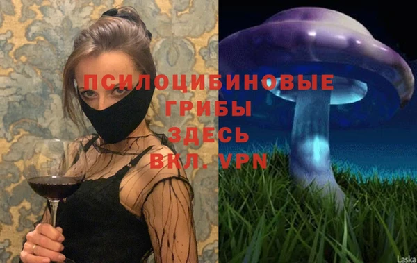 mdpv Михайлов