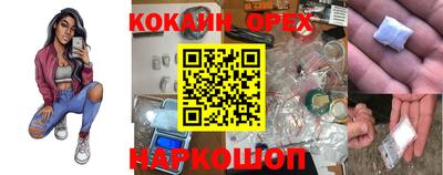 МДПВ Будённовск