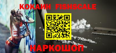 стафф Гай