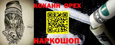 индика Гатчина