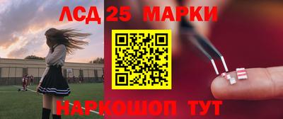 индика Гатчина