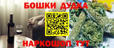 индика Гатчина