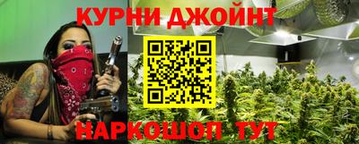 индика Гатчина