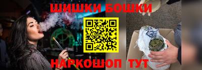 индика Гатчина