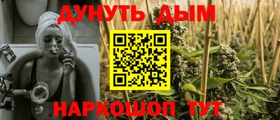 стафф Гай