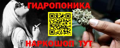 индика Гатчина
