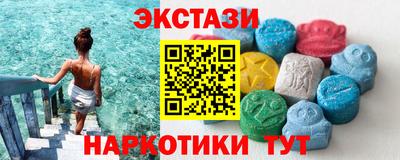 индика Гатчина