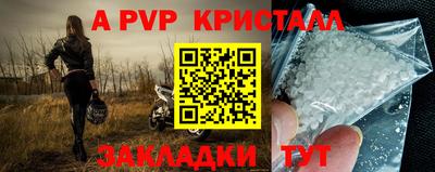 индика Гатчина