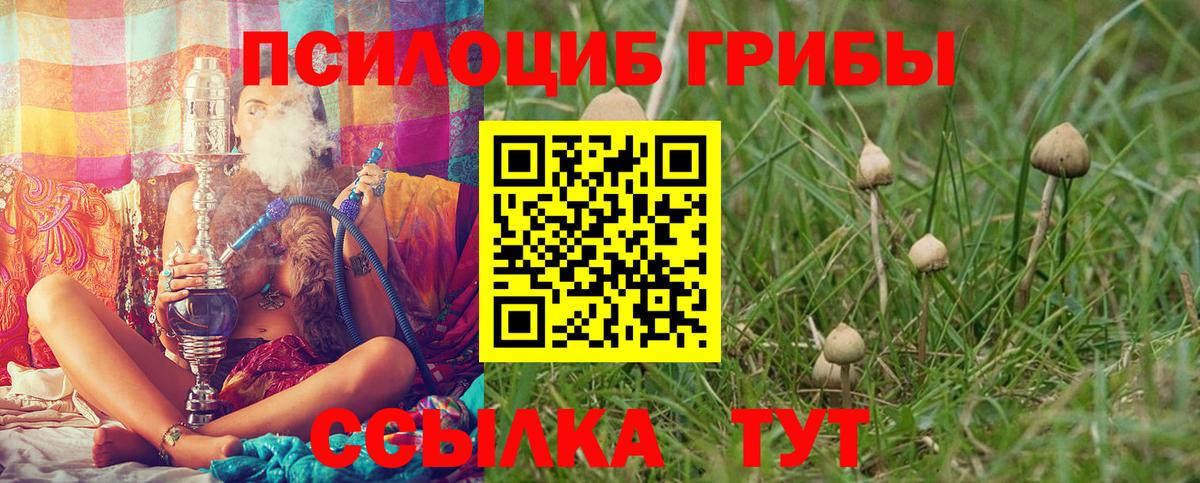 Галлюциногенные грибы мицелий  Галлюциногенные грибы Magic Shrooms  Вход с VPN  Йошкар-Ола 