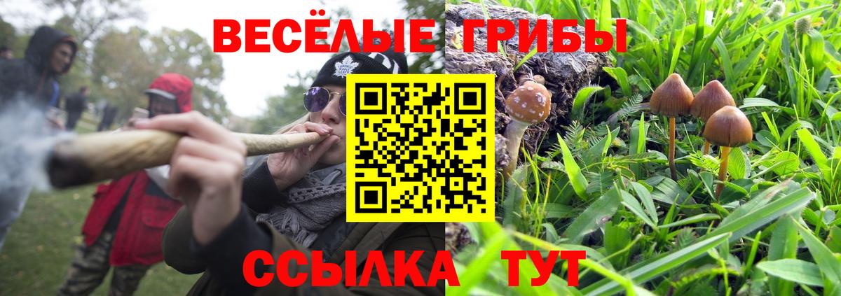 Псилоцибиновые грибы прущие грибы Йошкар-Ола