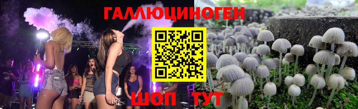 Галлюциногенные грибы Psilocybine cubensis Йошкар-Ола